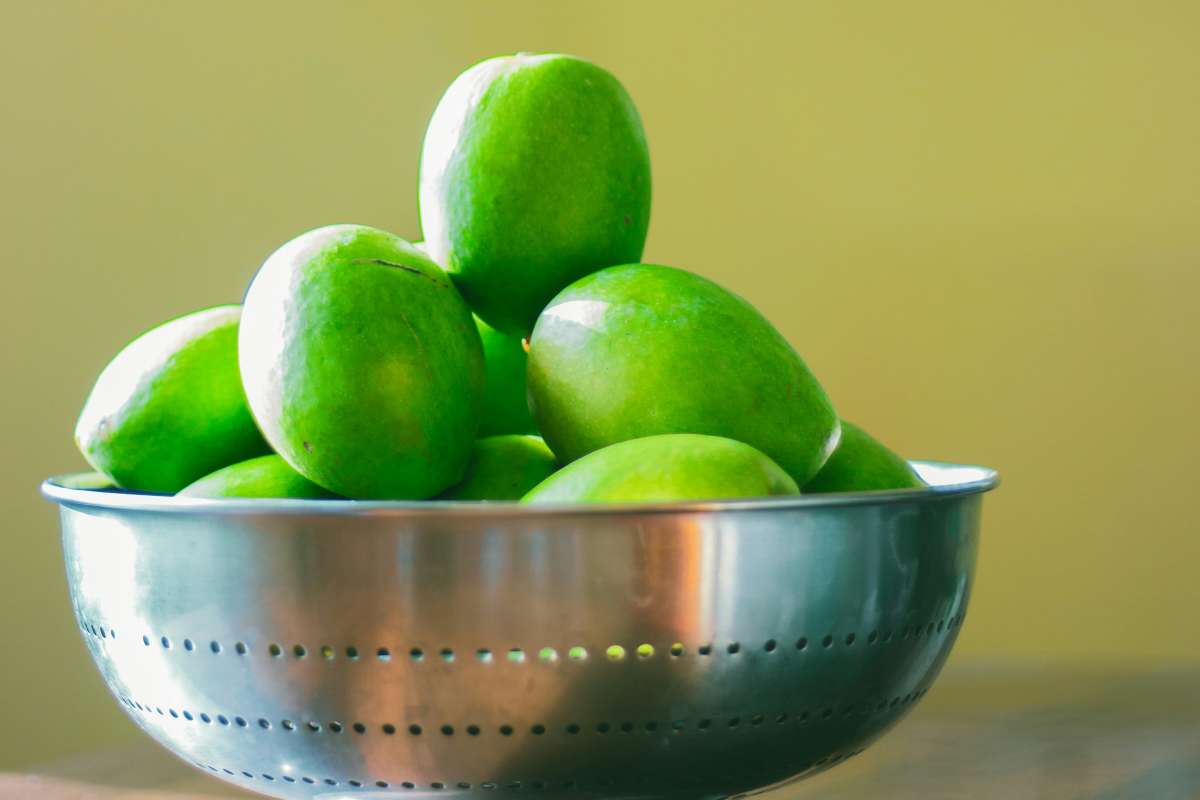 صادرات انبه به پاکستان